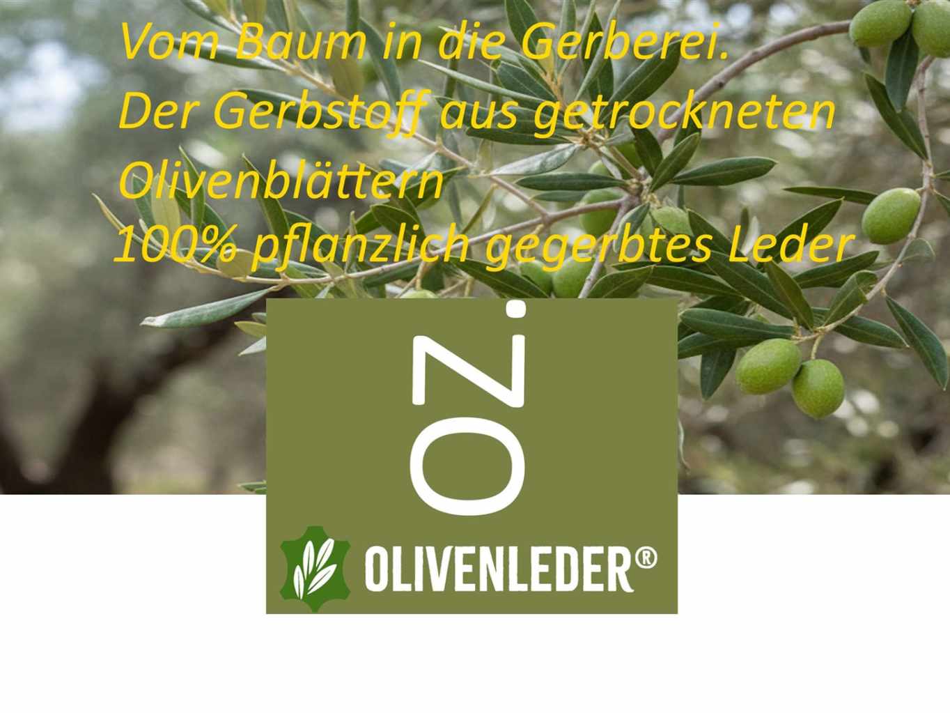 Vom Baum in die Gerberei 251217 - Oliver Zielina