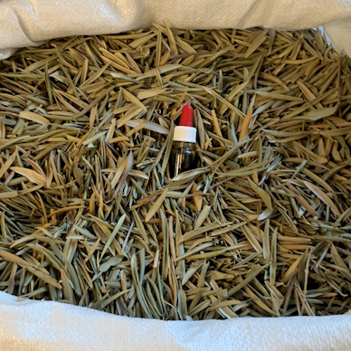 getrocknete Olivenblätter im Jutesack von wet-green